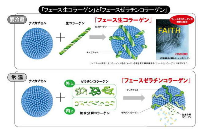 エステサロン用 生コラーゲン化粧品のフェースグループが独自のスキンケアでダブル特許を取得 プレスリリース ニュース 肌結果を約束する フェースグループ Faith Group