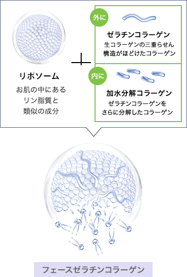 フェースゼラチンコラーゲン