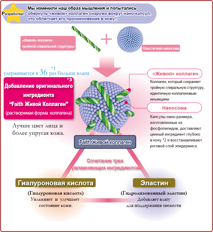 Коллаген вред для организма